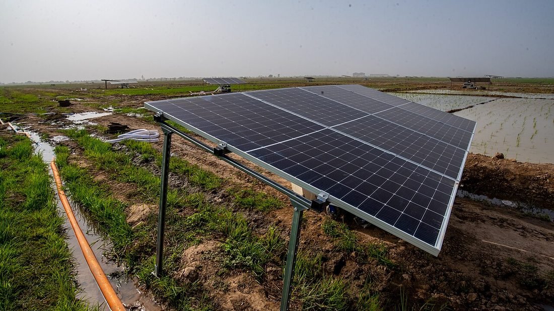 Solar panels powering irrigation for a rice field, an example of a solar pump