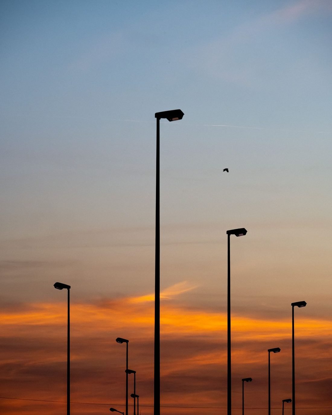 Solar LED street light installed on a road in Raipur, Chhattisgarh